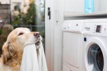 Why energy efficiency in the home starts with the laundry room