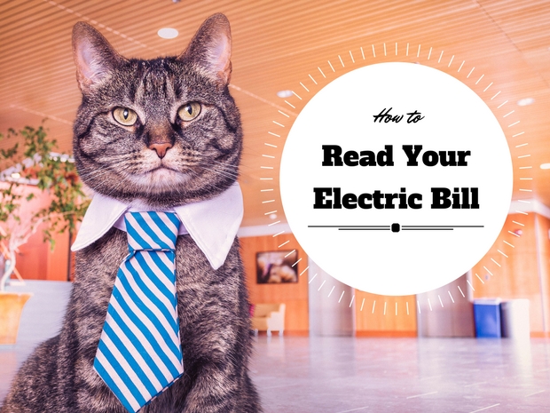 How to Read Your Electric Bill and Reduce It